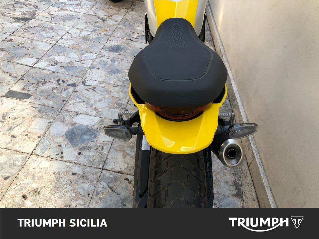 DUCATI Scrambler 800 Icon