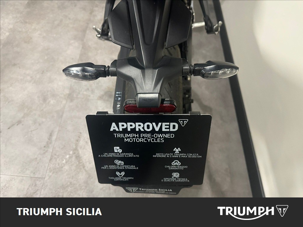 TRIUMPH Tiger Sport 660 Abs